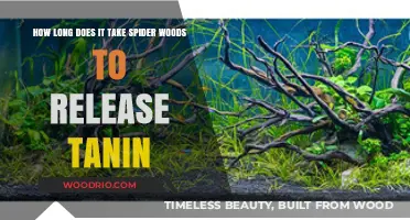 Spider Wood Tannin Release Time: How Long Does It Take?