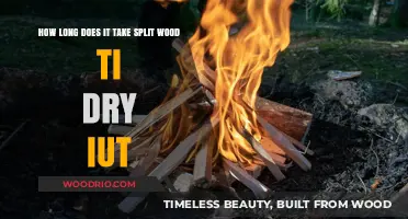 How Long Does It Take for Split Wood to Dry Out?