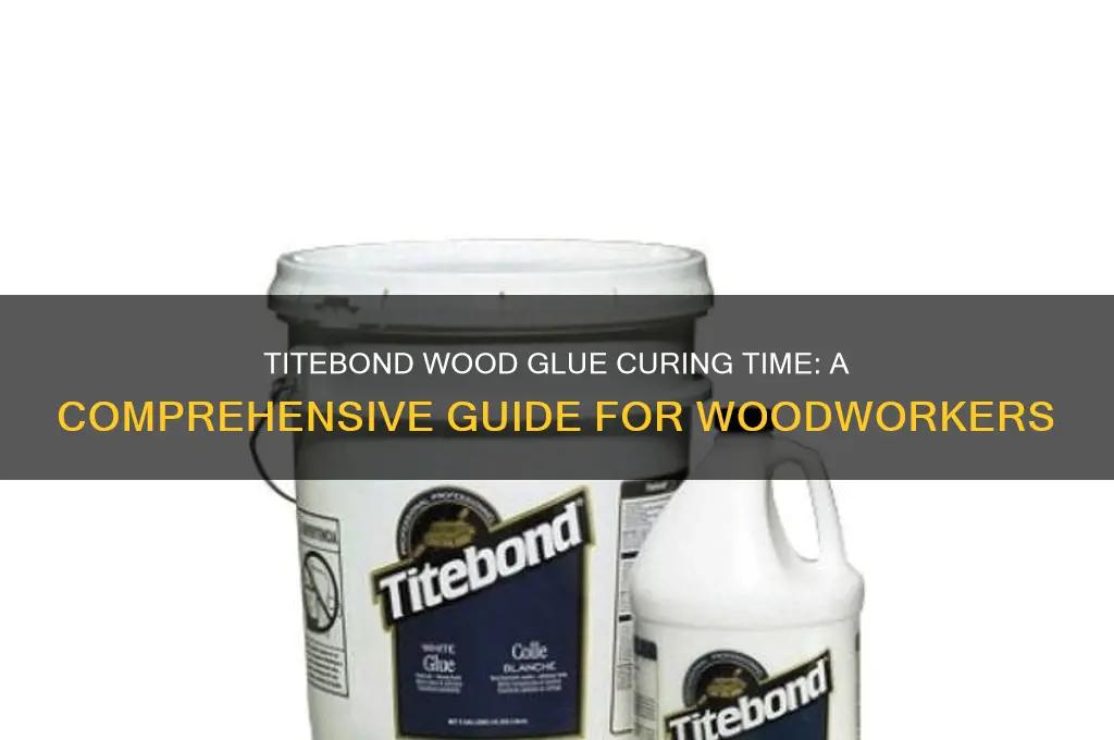 how long does it take titebond wood glue to cure