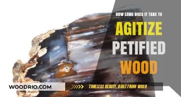 Petrified Wood Tumbling: Understanding the Agatization Timeframe and Process