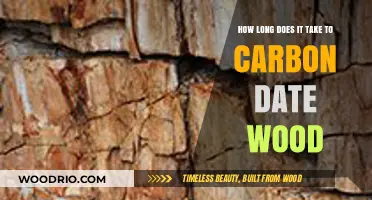 Carbon Dating Wood: Understanding the Timeframe for Accurate Results