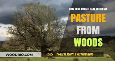 Transforming Woods to Pasture: Understanding the Timeframe for Land Conversion