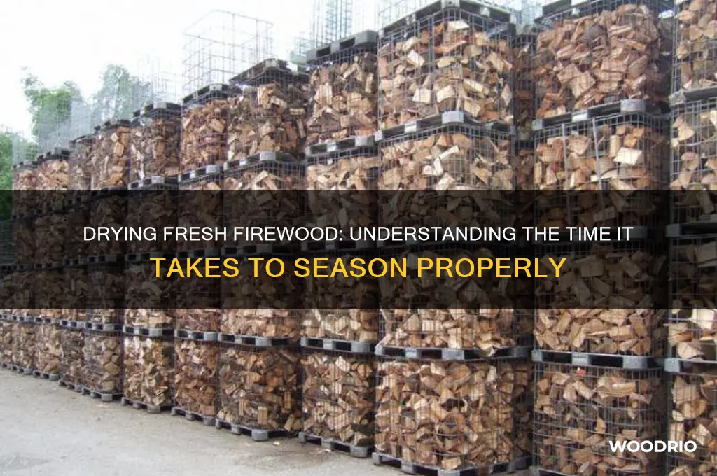how long does it take to dry fresh fire wood