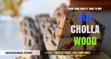 Drying Cholla Wood: Timeframe and Tips for Perfect Preservation