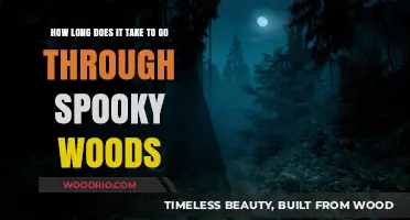 Exploring Spooky Woods: Time Estimates for a Chilling Adventure