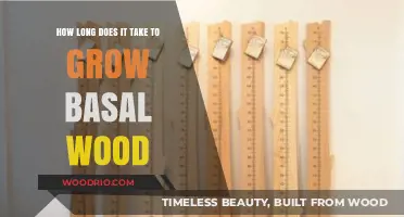 Growing Basal Wood: Understanding the Timeframe for Optimal Growth