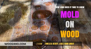 How Quickly Does Mold Grow on Wood Surfaces?