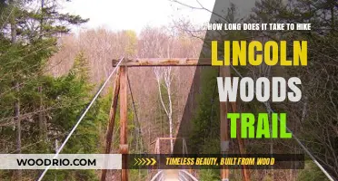 Hiking Lincoln Woods Trail: Time Estimates and Tips for Success