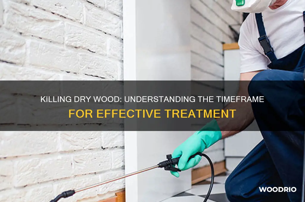 how long does it take to kill dry wood