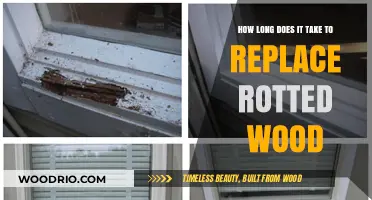Replacing Rotted Wood: Understanding the Timeframe for Effective Restoration