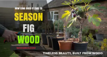 Seasoning Fig Wood: Timeframe and Tips for Perfect Results