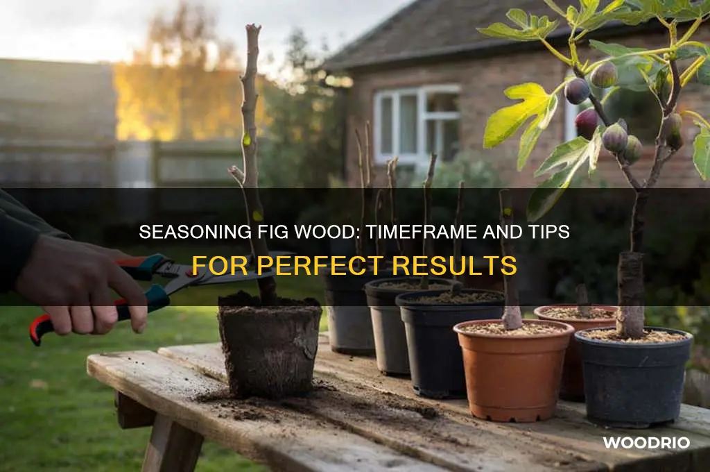 how long does it take to season fig wood