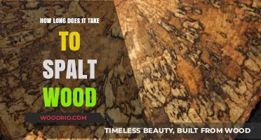 Spalting Wood: Understanding the Timeframe for Unique Artistic Results