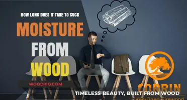 Drying Wood: Understanding the Time to Remove Moisture Effectively