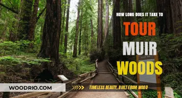 Exploring Muir Woods: Time Needed for a Complete Tour