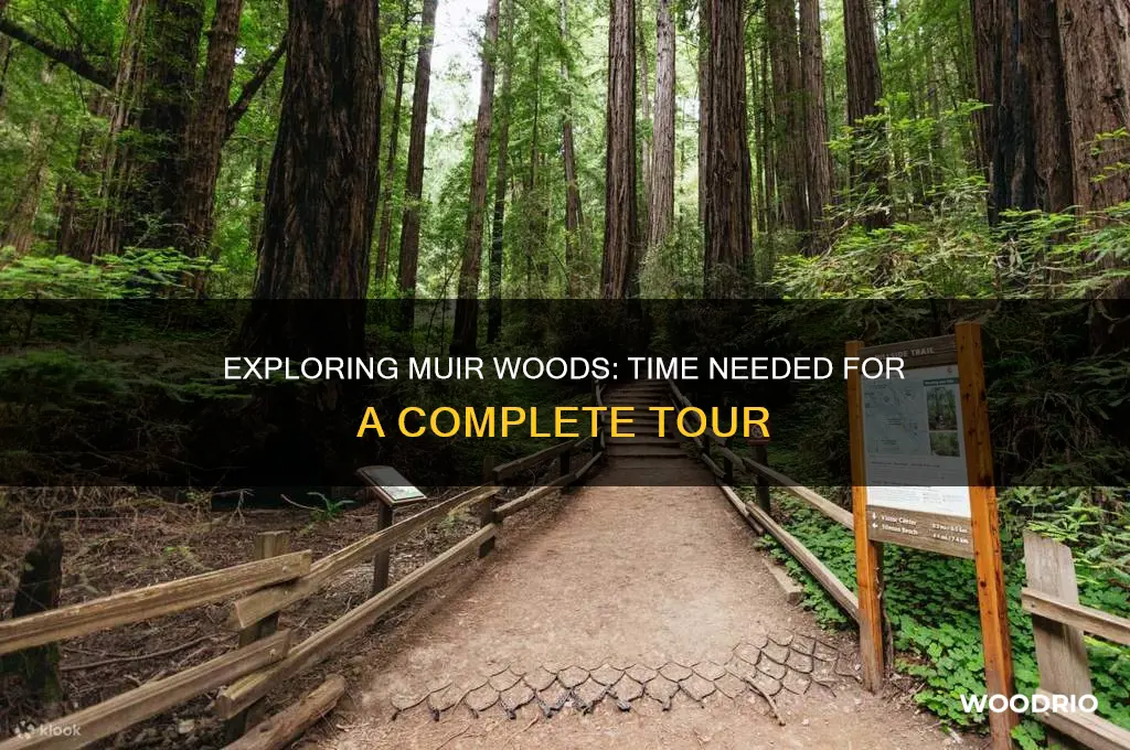 how long does it take to tour muir woods