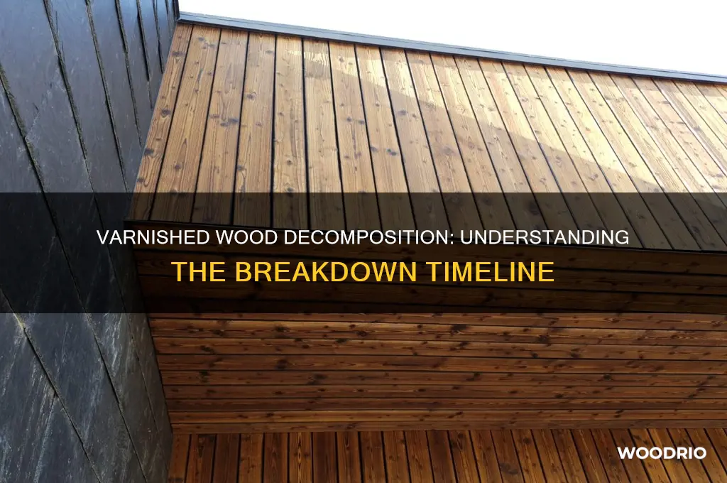 how long does it take varnished wood to decompose