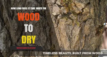 White Fir Wood Drying Time: A Comprehensive Guide to Proper Seasoning