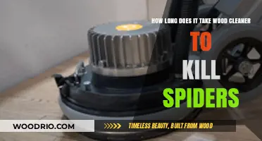 Effective Wood Cleaner: Spider Elimination Timeframe Explained