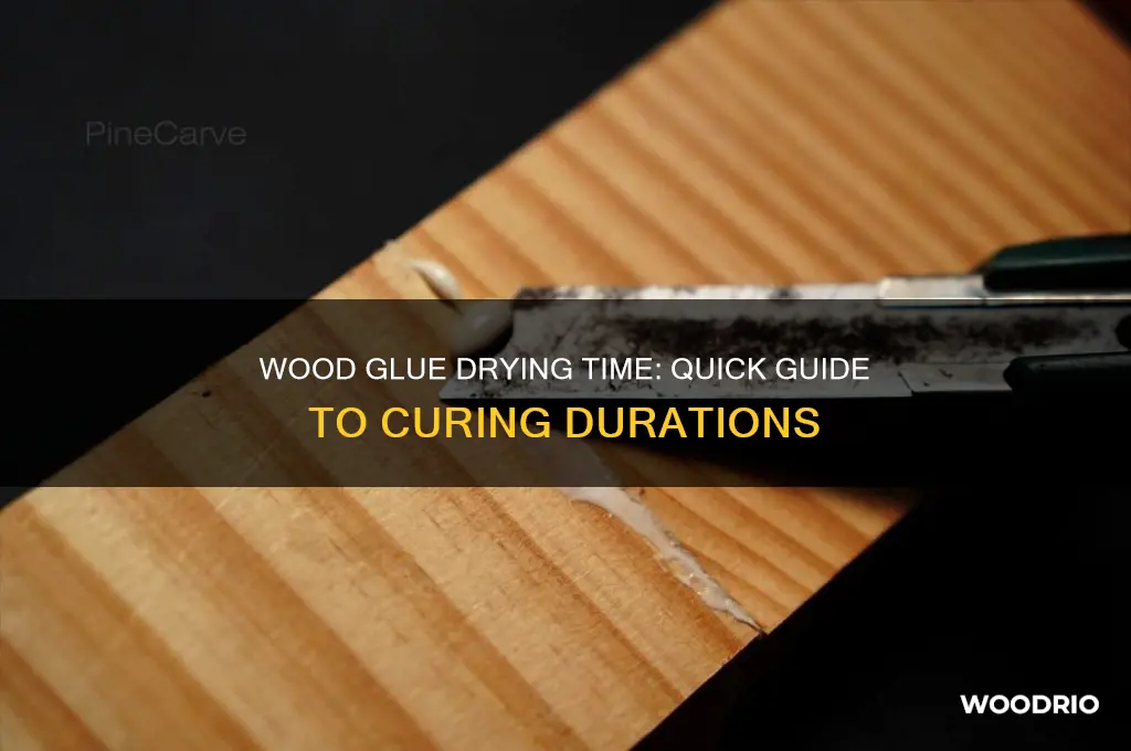 how long does it take wood gllue to dry