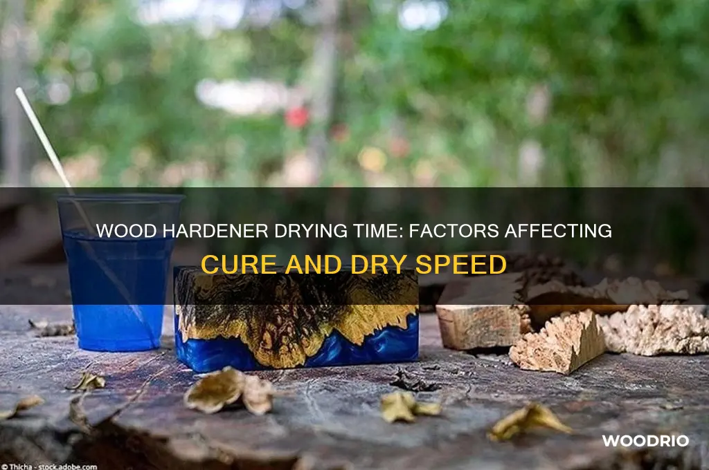 how long does it take wood hardener to dry