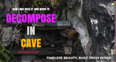 Wood Decomposition in Caves: Factors Affecting Breakdown Time