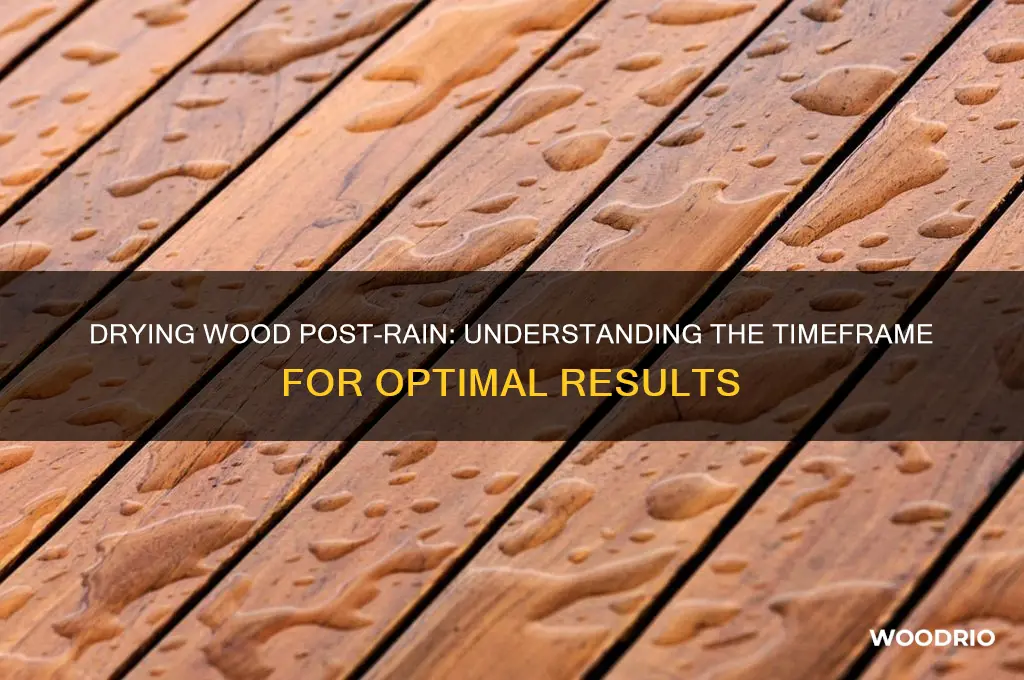 how long does it take wood to dry after rain