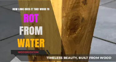 How Long Does Wood Rot in Water? Factors and Timeline Explained