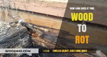 Wood Rot Timeline: Factors Affecting Decay and Prevention Tips