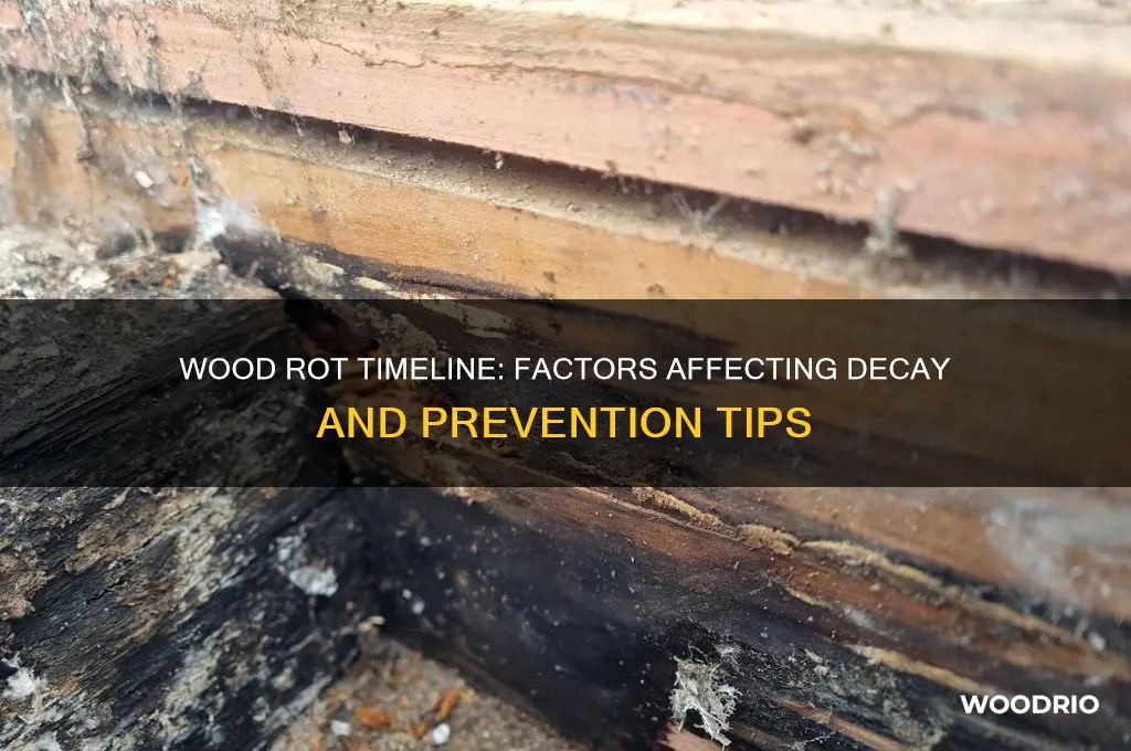 how long does it take wood to rot