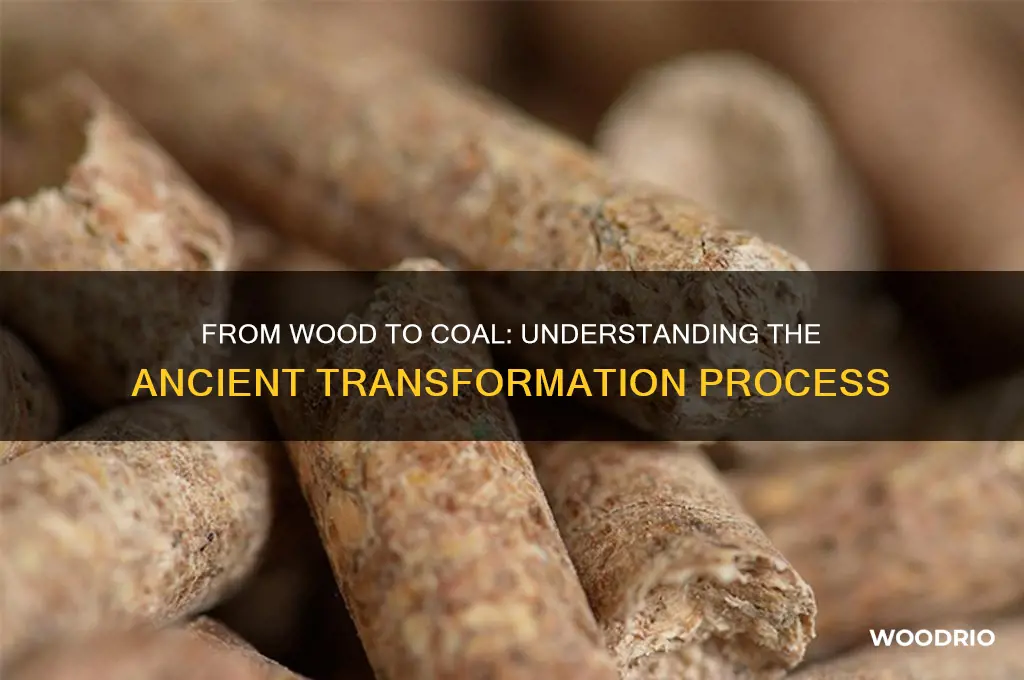 how long does it take wood to turn into coal