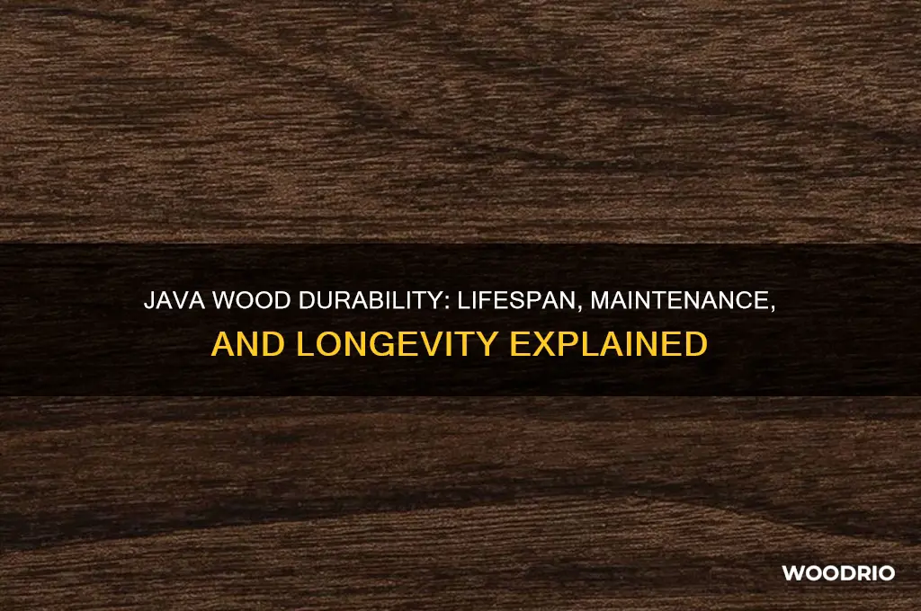 how long does java wood last