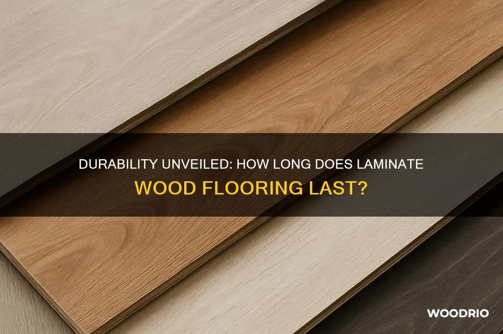 how long does laminate wood last