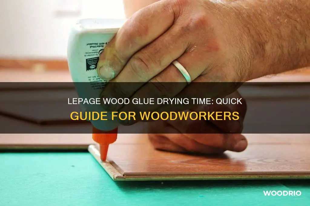 how long does lepage wood glue take to dry
