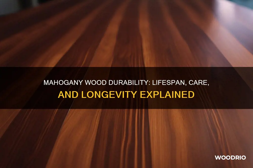how long does mahogany wood last