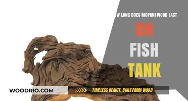 Mopani Wood Durability: Lifespan in Fish Tanks Explained