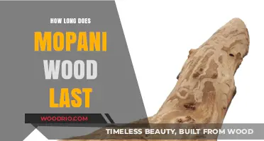 Durability of Mopani Wood: Lifespan and Maintenance Tips Revealed