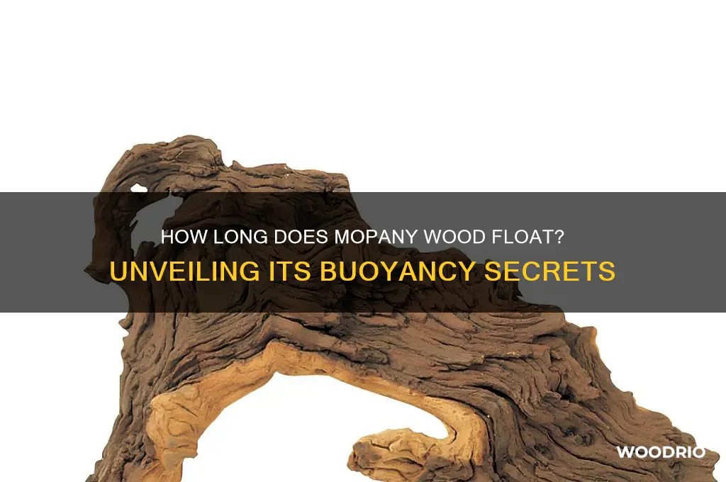 how long does mopany wood float