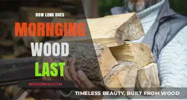 Understanding Morning Wood Duration: How Long Does It Typically Last?