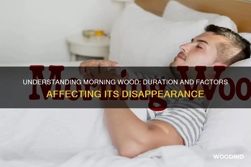 how long does morning wood take to go away