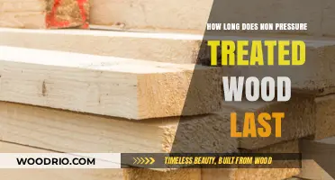 Non-Pressure Treated Wood Lifespan: Factors Affecting Durability and Longevity