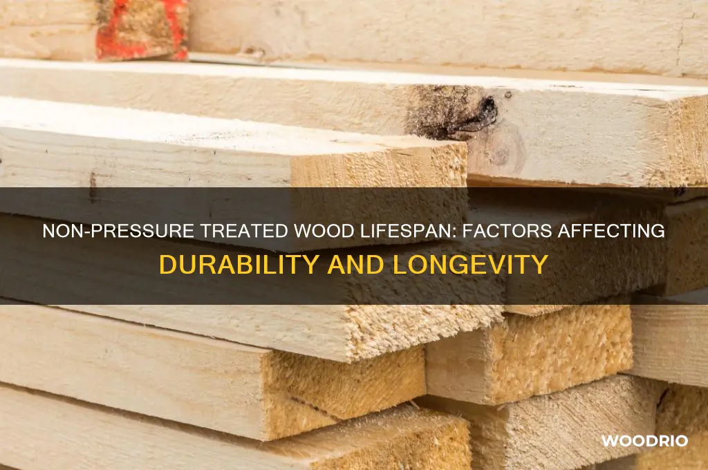 how long does non pressure treated wood last