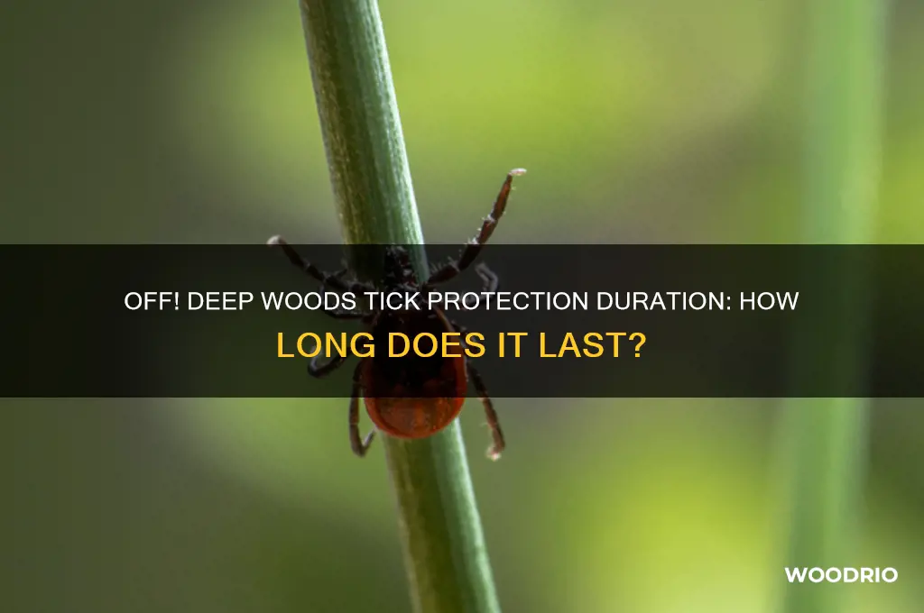 how long does off deep woods protect against ticks