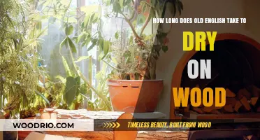 Old English Drying Time: How Long on Wood Surfaces?