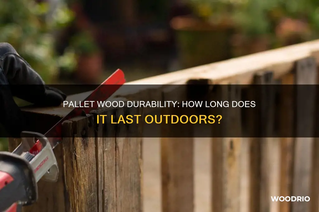 how long does pallet wood last outside