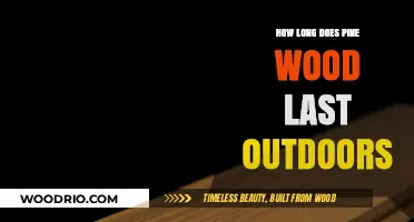 Pine Wood Durability: How Long Does It Last Outdoors?