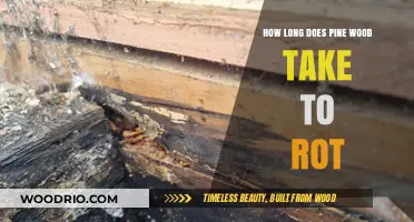 Pine Wood Decay Timeline: Factors Affecting Rotting Process and Durability