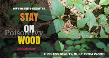 Poison Ivy Oil on Wood: Duration and Safety Tips