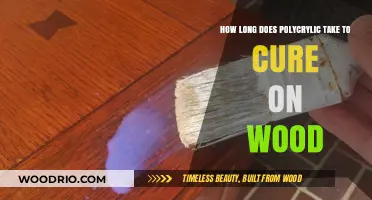Polycrylic Cure Time: How Long Does It Take on Wood?