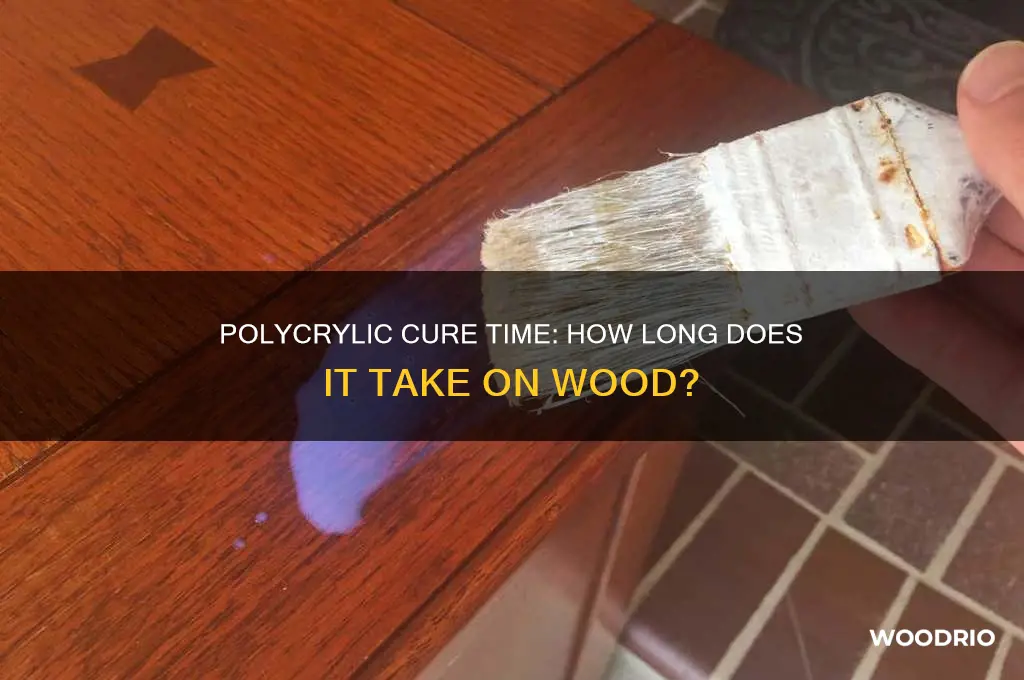 how long does polycrylic take to cure on wood
